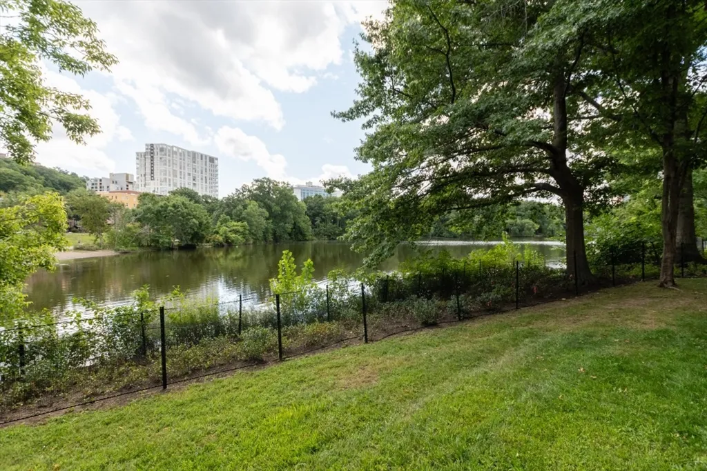 1 bed, 1 bath apartment for rent at 99 Pond Ave Unit 812, Brookline Village — photo 14 of 16