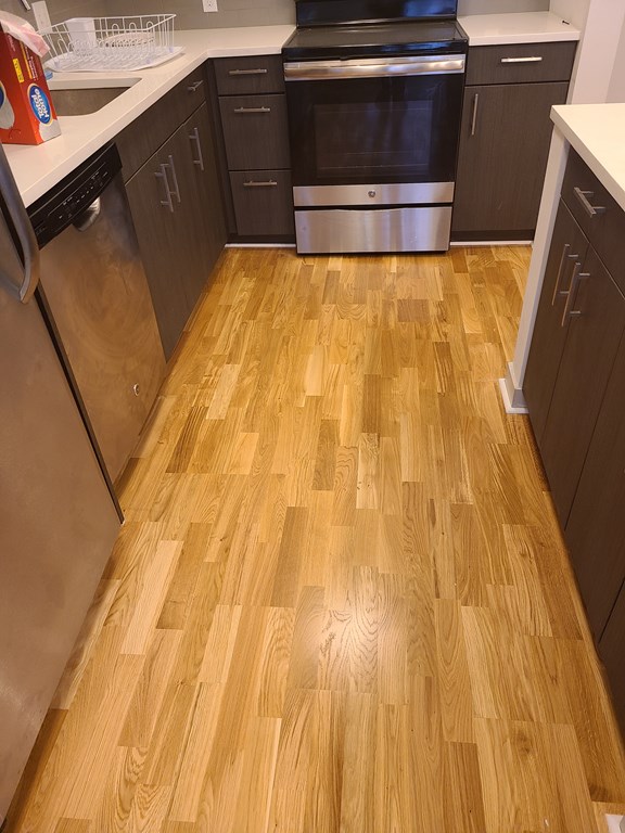 2 bed, 1 bath apartment for rent at 99 Tremont St Unit 113, Brighton — photo 4 of 38