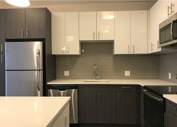 2 bed, 1 bath apartment for rent at 99 Tremont St Unit 113, Brighton — photo 5 of 38