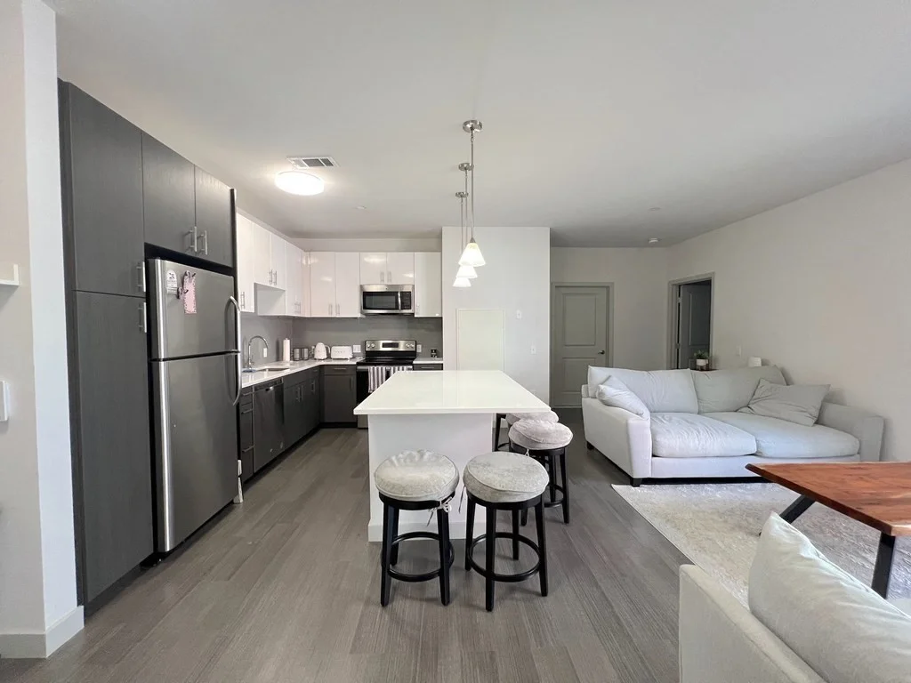 2 bed, 2 bath apartment for rent at 99 Tremont St Unit 206, Brighton — photo 4 of 25