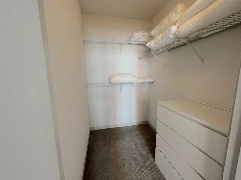 2 bed, 2 bath apartment for rent at 99 Tremont St Unit 206, Brighton — photo 8 of 25