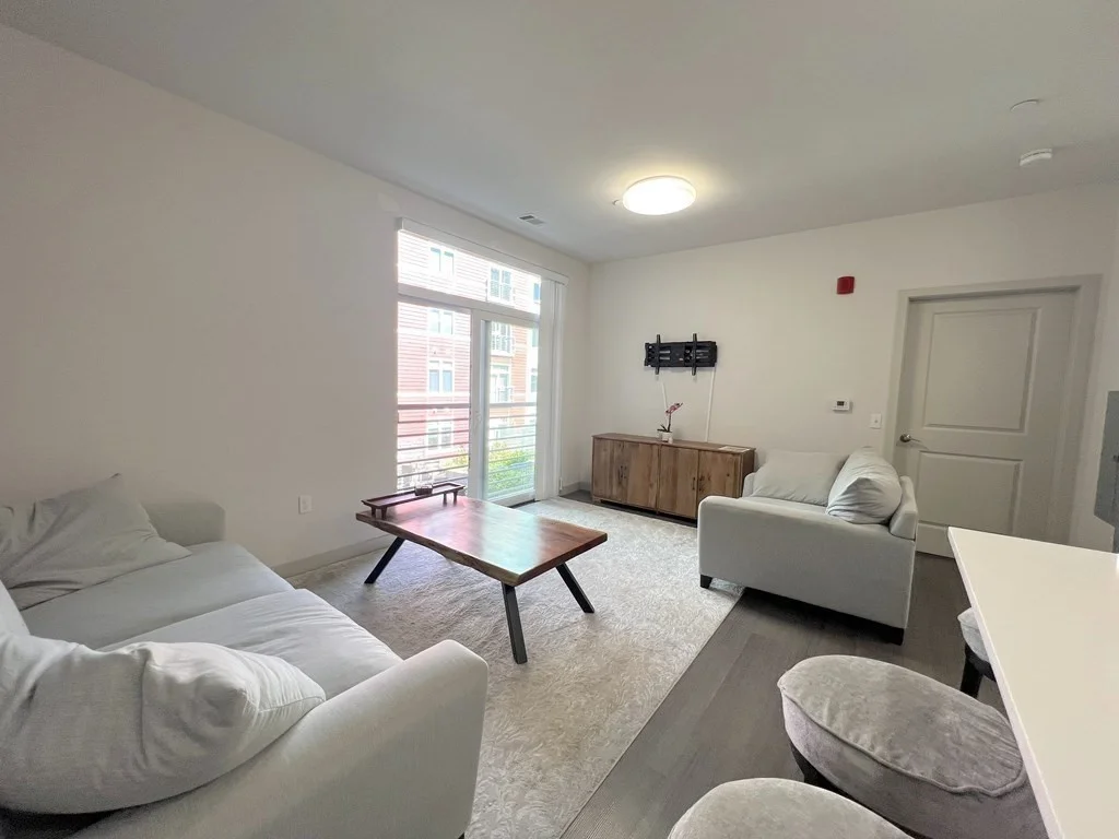 2 bed, 2 bath apartment for rent at 99 Tremont St Unit 206, Brighton — photo 5 of 25