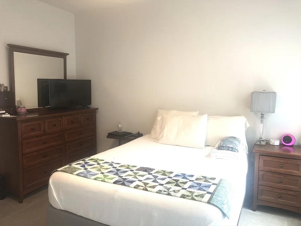 1 bed, 1 bath apartment for rent at 99 Tremont St Unit 312, Brighton — photo 8 of 19