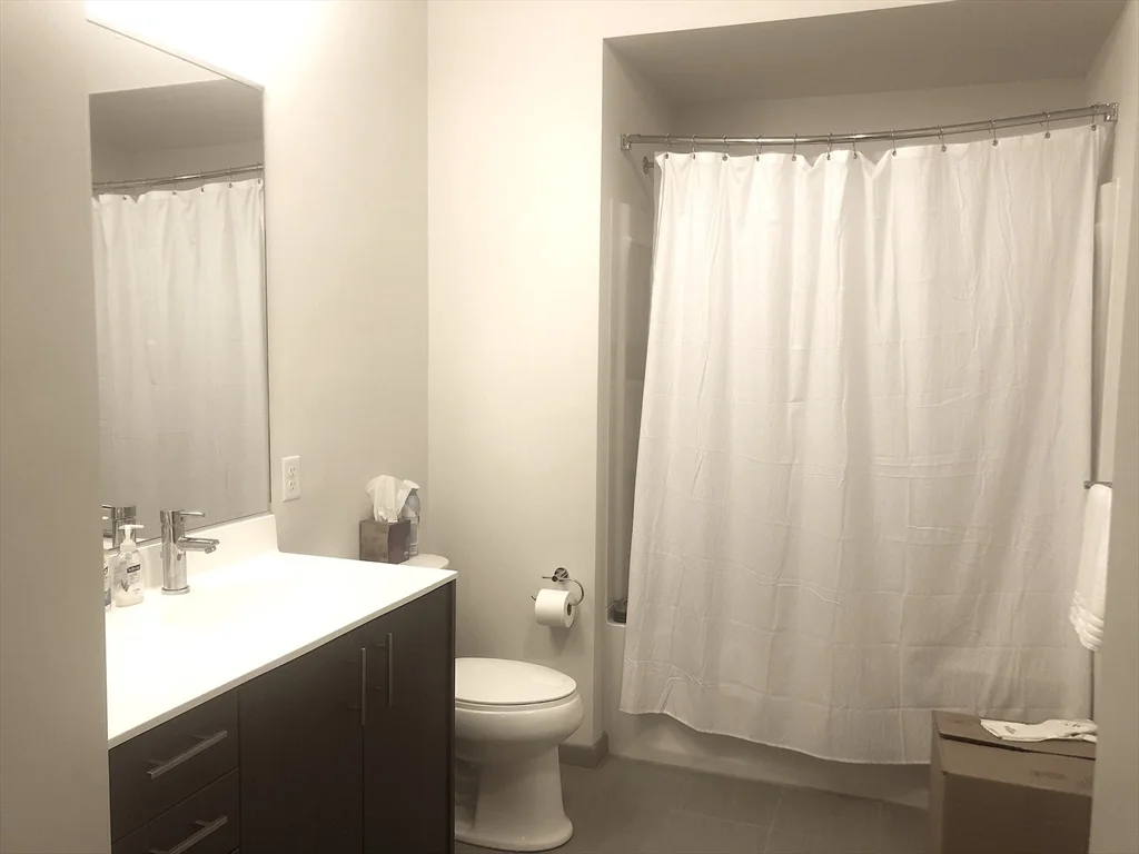 1 bed, 1 bath apartment for rent at 99 Tremont St Unit 312, Brighton — photo 10 of 19
