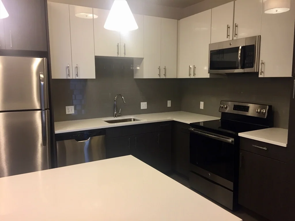 1 bed, 1 bath apartment for rent at 99 Tremont St Unit 312, Brighton — photo 3 of 19