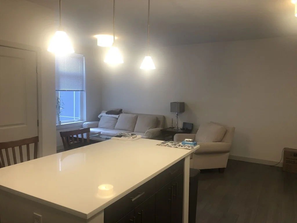 1 bed, 1 bath apartment for rent at 99 Tremont St Unit 312, Brighton — photo 4 of 19