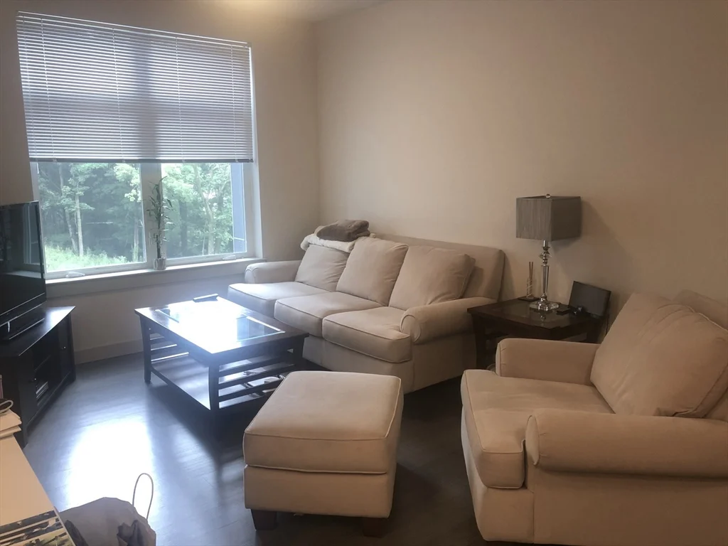 1 bed, 1 bath apartment for rent at 99 Tremont St Unit 312, Brighton — photo 7 of 19