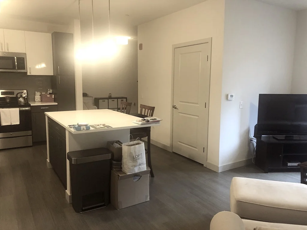 1 bed, 1 bath apartment for rent at 99 Tremont St Unit 312, Brighton — photo 6 of 19