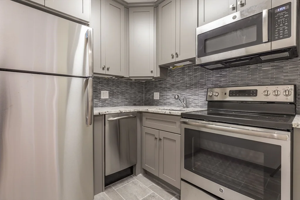 1 bed, 1 bath apartment for rent at 99 W Springfield St Unit 3, South End — photo 3 of 10