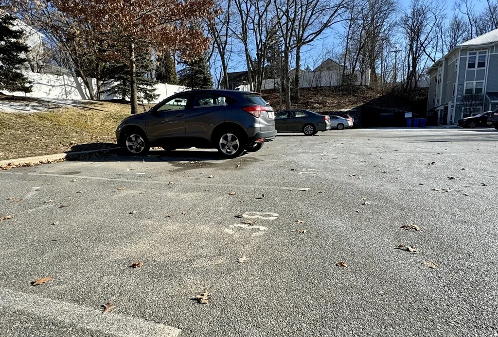 2 bed, 1 bath apartment for rent at 990 Vfw Pkwy Unit 304, West Roxbury — photo 10 of 11