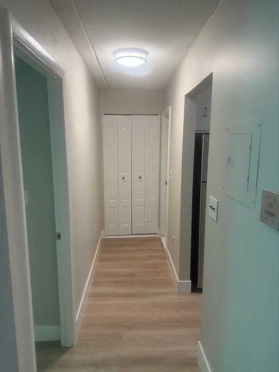1 bed, 1 bath apartment for rent at 993 Massachusetts Ave Unit 311, Arlington — photo 4 of 18