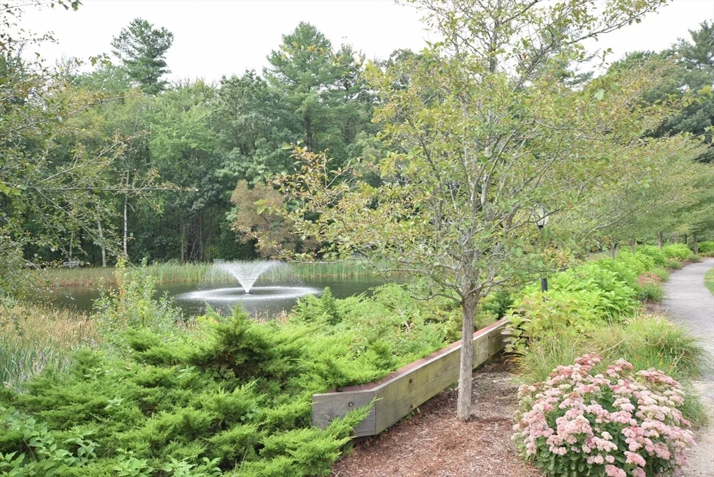 2 bed, 1 bath apartment for rent at C4 Scotty Hollow Dr Unit C4, North Chelmsford — photo 26 of 29